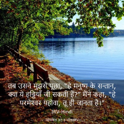 Picture 03 - यहेजकेल 37:3 HINIRV - तब उसने मुझसे पूछा, - Bible Verse Picture
