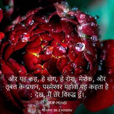 Picture 03 - यहेजकेल 38:3 HINIRV - और यह कह, हे गोग, हे - Bible Verse Picture