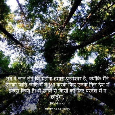Picture 03 - यहेजकेल 39:28 HINIRV - तब वे जान लेंगे कि - Bible Verse Picture