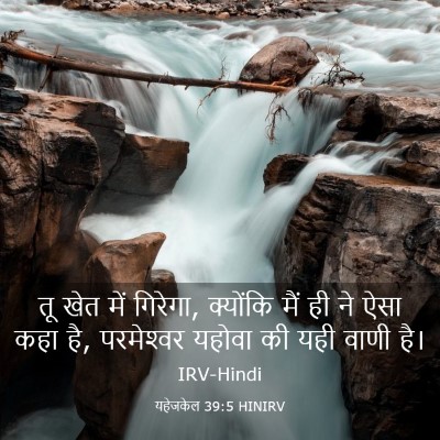 Picture 03 - यहेजकेल 39:5 HINIRV - तू खेत में गिरेगा, - Bible Verse Picture