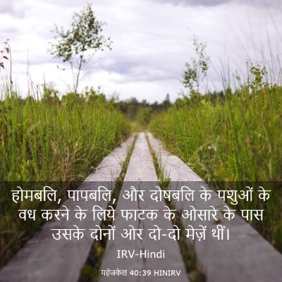 Picture 03 - यहेजकेल 40:39 HINIRV - होमबलि, पापबलि, और - Bible Verse Picture