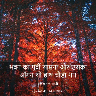 Picture 03 - यहेजकेल 41:14 HINIRV - भवन का पूर्वी - Bible Verse Picture