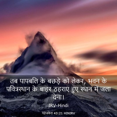 Picture 03 - यहेजकेल 43:21 HINIRV - तब पापबलि के बछड़े - Bible Verse Picture