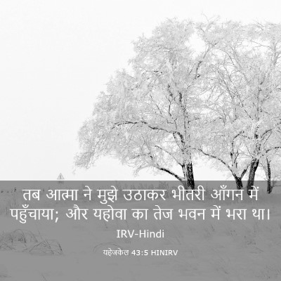 Picture 03 - यहेजकेल 43:5 HINIRV - तब आत्मा ने मुझे - Bible Verse Picture
