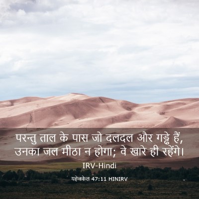 Picture 03 - यहेजकेल 47:11 HINIRV - परन्तु ताल के पास - Bible Verse Picture