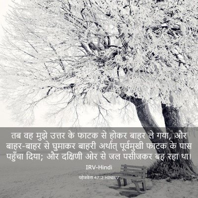 Picture 03 - यहेजकेल 47:2 HINIRV - तब वह मुझे उत्तर के - Bible Verse Picture