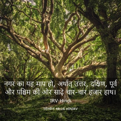 Picture 03 - यहेजकेल 48:16 HINIRV - नगर का यह माप हो, - Bible Verse Picture