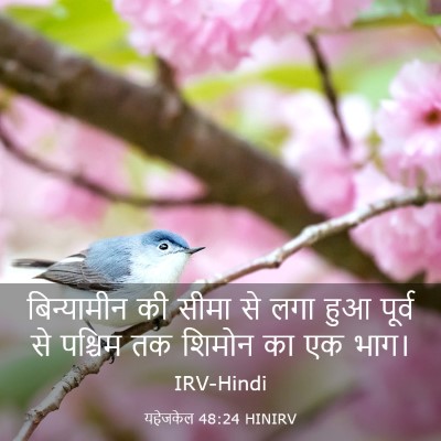 Picture 03 - यहेजकेल 48:24 HINIRV - बिन्यामीन की सीमा - Bible Verse Picture