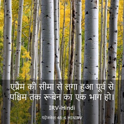 Picture 03 - यहेजकेल 48:6 HINIRV - एप्रैम की सीमा से - Bible Verse Picture