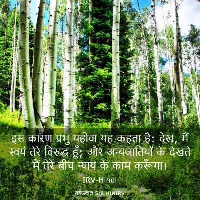 Picture 03 - यहेजकेल 5:8 HINIRV - इस कारण प्रभु - Bible Verse Picture