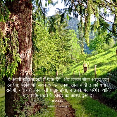Picture 03 - यहेजकेल 7:19 HINIRV - वे अपनी चाँदी - Bible Verse Picture