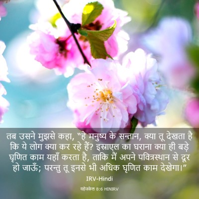 Picture 03 - यहेजकेल 8:6 HINIRV - तब उसने मुझसे कहा, - Bible Verse Picture