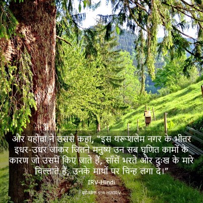 Picture 03 - यहेजकेल 9:4 HINIRV - और यहोवा ने उससे - Bible Verse Picture