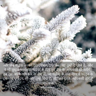 Picture 03 - यहोशू 1:15 HINIRV - और जब यहोवा उनको - Bible Verse Picture