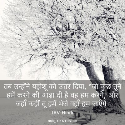 Picture 03 - यहोशू 1:16 HINIRV - तब उन्होंने यहोशू - Bible Verse Picture