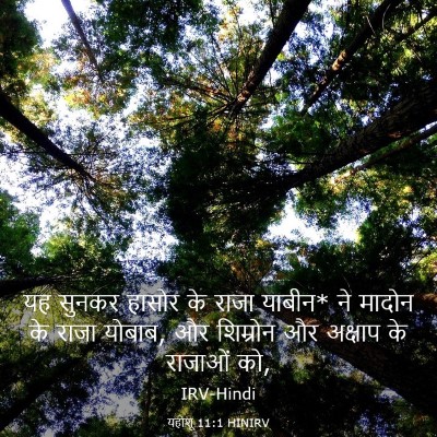 Picture 03 - यहोशू 11:1 HINIRV - यह सुनकर हासोर के - Bible Verse Picture