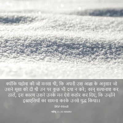 Picture 03 - यहोशू 11:20 HINIRV - क्योंकि यहोवा की - Bible Verse Picture