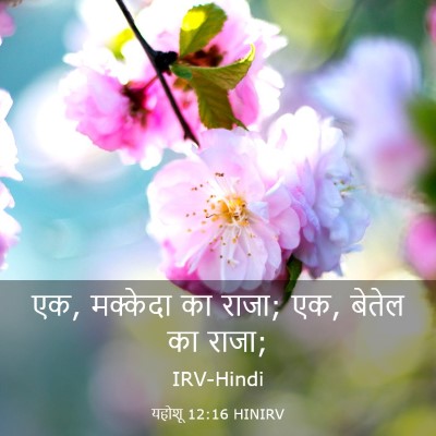 Picture 03 - यहोशू 12:16 HINIRV - एक, मक्केदा का - Bible Verse Picture