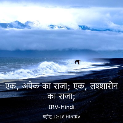 Picture 03 - यहोशू 12:18 HINIRV - एक, अपेक का राजा; एक, - Bible Verse Picture