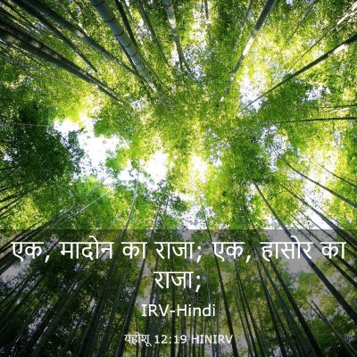Picture 03 - यहोशू 12:19 HINIRV - एक, मादोन का राजा; - Bible Verse Picture