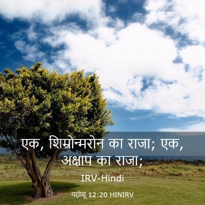 Picture 03 - यहोशू 12:20 HINIRV - एक, शिम्रोन्मरोन - Bible Verse Picture