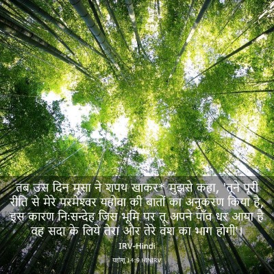 Picture 03 - यहोशू 14:9 HINIRV - तब उस दिन मूसा ने - Bible Verse Picture