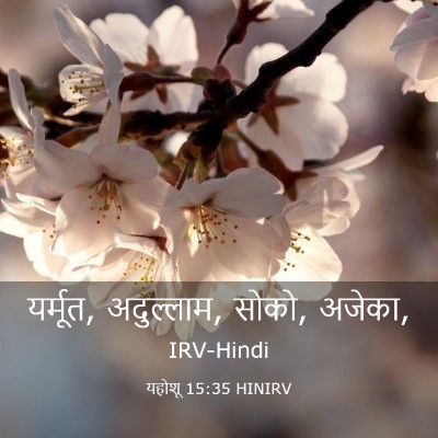 Picture 03 - यहोशू 15:35 HINIRV - यर्मूत, अदुल्लाम, - Bible Verse Picture