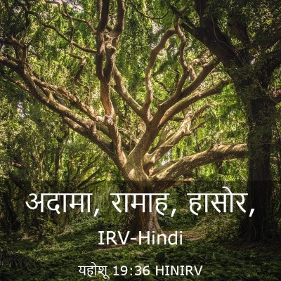 Picture 03 - यहोशू 19:36 HINIRV - अदामा, रामाह, - Bible Verse Picture