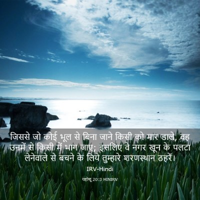 Picture 03 - यहोशू 20:3 HINIRV - जिससे जो कोई भूल से - Bible Verse Picture