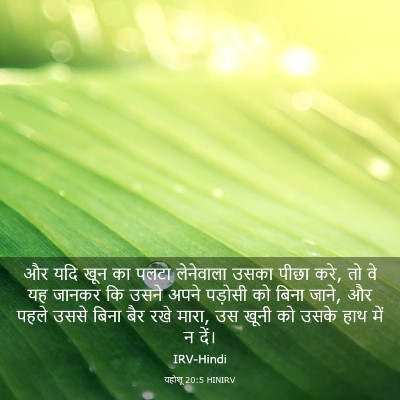 Picture 03 - यहोशू 20:5 HINIRV - और यदि खून का पलटा - Bible Verse Picture