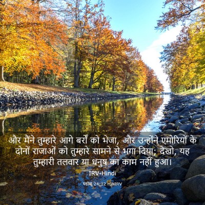 Picture 03 - यहोशू 24:12 HINIRV - और मैंने तुम्हारे - Bible Verse Picture