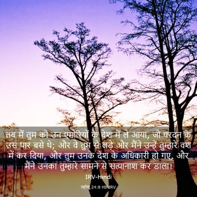 Picture 03 - यहोशू 24:8 HINIRV - तब मैं तुम को उन - Bible Verse Picture