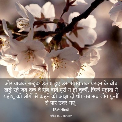 Picture 03 - यहोशू 4:10 HINIRV - और याजक सन्दूक - Bible Verse Picture