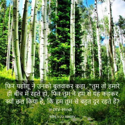 Picture 03 - यहोशू 9:22 HINIRV - फिर यहोशू ने उनको - Bible Verse Picture