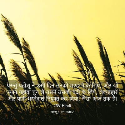 Picture 03 - यहोशू 9:27 HINIRV - परन्तु यहोशू ने - Bible Verse Picture