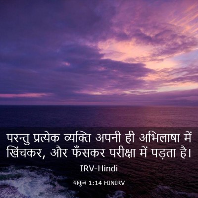 Picture 03 - याकूब 1:14 HINIRV - परन्तु प्रत्येक - Bible Verse Picture