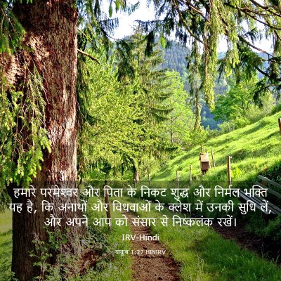 Picture 03 - याकूब 1:27 HINIRV - हमारे परमेश्‍वर - Bible Verse Picture