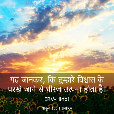 Picture 03 - याकूब 1:3 HINIRV - यह जानकर, कि - Bible Verse Picture