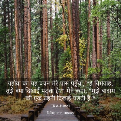 Picture 03 - यिर्मयाह 1:11 HINIRV - यहोवा का यह वचन - Bible Verse Picture