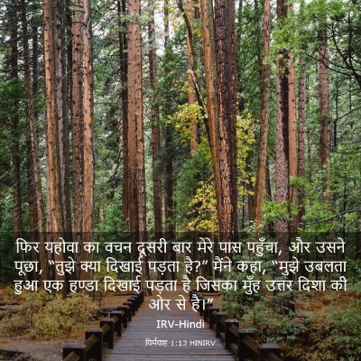 Picture 03 - यिर्मयाह 1:13 HINIRV - फिर यहोवा का वचन - Bible Verse Picture