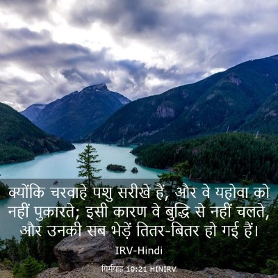 Picture 03 - यिर्मयाह 10:21 HINIRV - क्योंकि चरवाहे - Bible Verse Picture
