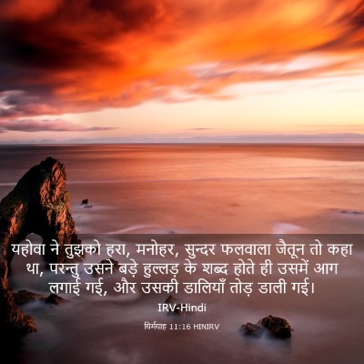 Picture 03 - यिर्मयाह 11:16 HINIRV - यहोवा ने तुझको हरा, - Bible Verse Picture