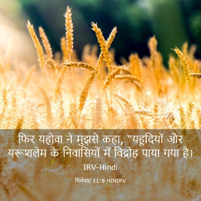 Picture 03 - यिर्मयाह 11:9 HINIRV - फिर यहोवा ने मुझसे - Bible Verse Picture
