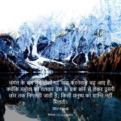 Picture 03 - यिर्मयाह 12:12 HINIRV - जंगल के सब मुंडे - Bible Verse Picture