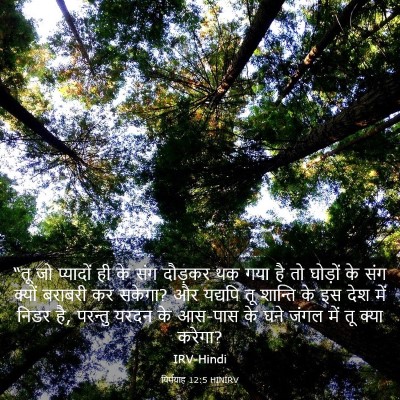 Picture 03 - यिर्मयाह 12:5 HINIRV - “तू जो प्यादों ही - Bible Verse Picture