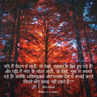 Picture 03 - यिर्मयाह 14:18 HINIRV - यदि मैं मैदान में - Bible Verse Picture