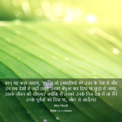 Picture 03 - यिर्मयाह 16:15 HINIRV - वरन् यह कहा जाएगा, - Bible Verse Picture