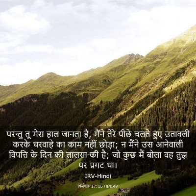 Picture 03 - यिर्मयाह 17:16 HINIRV - परन्तु तू मेरा हाल - Bible Verse Picture