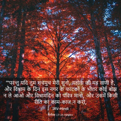 Picture 03 - यिर्मयाह 17:24 HINIRV - '“परन्तु यदि तुम - Bible Verse Picture