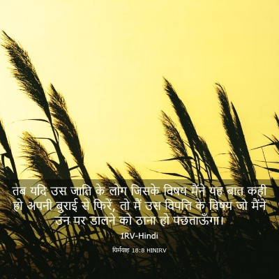 Picture 03 - यिर्मयाह 18:8 HINIRV - तब यदि उस जाति के - Bible Verse Picture